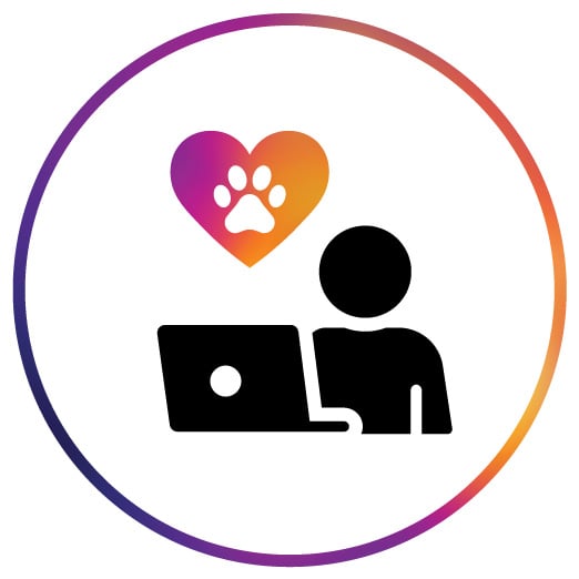 person on laptop icon