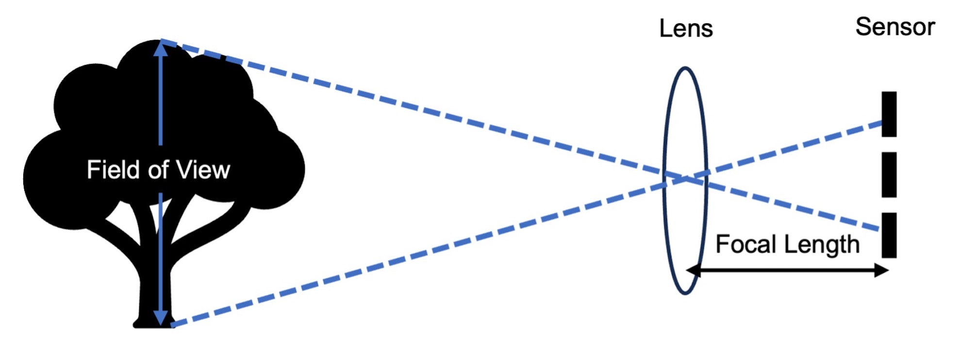 Figure 1_Tech Briefs.jpg